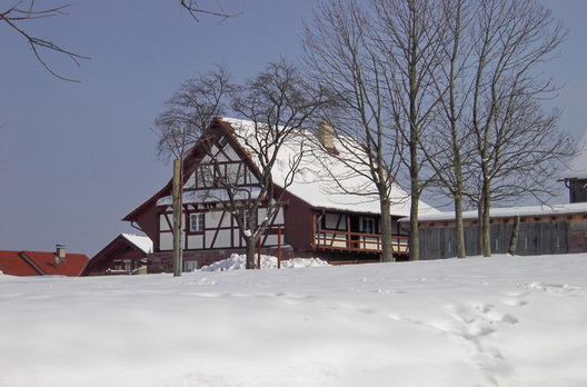 Altes Fachwerkhaus „Bäule“ wieder aufgebaut beim Heimatmuseum Freiamt tief verschneit im Winter