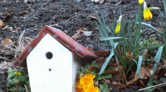 Bunt bemaltes Vogel - Holzhaus